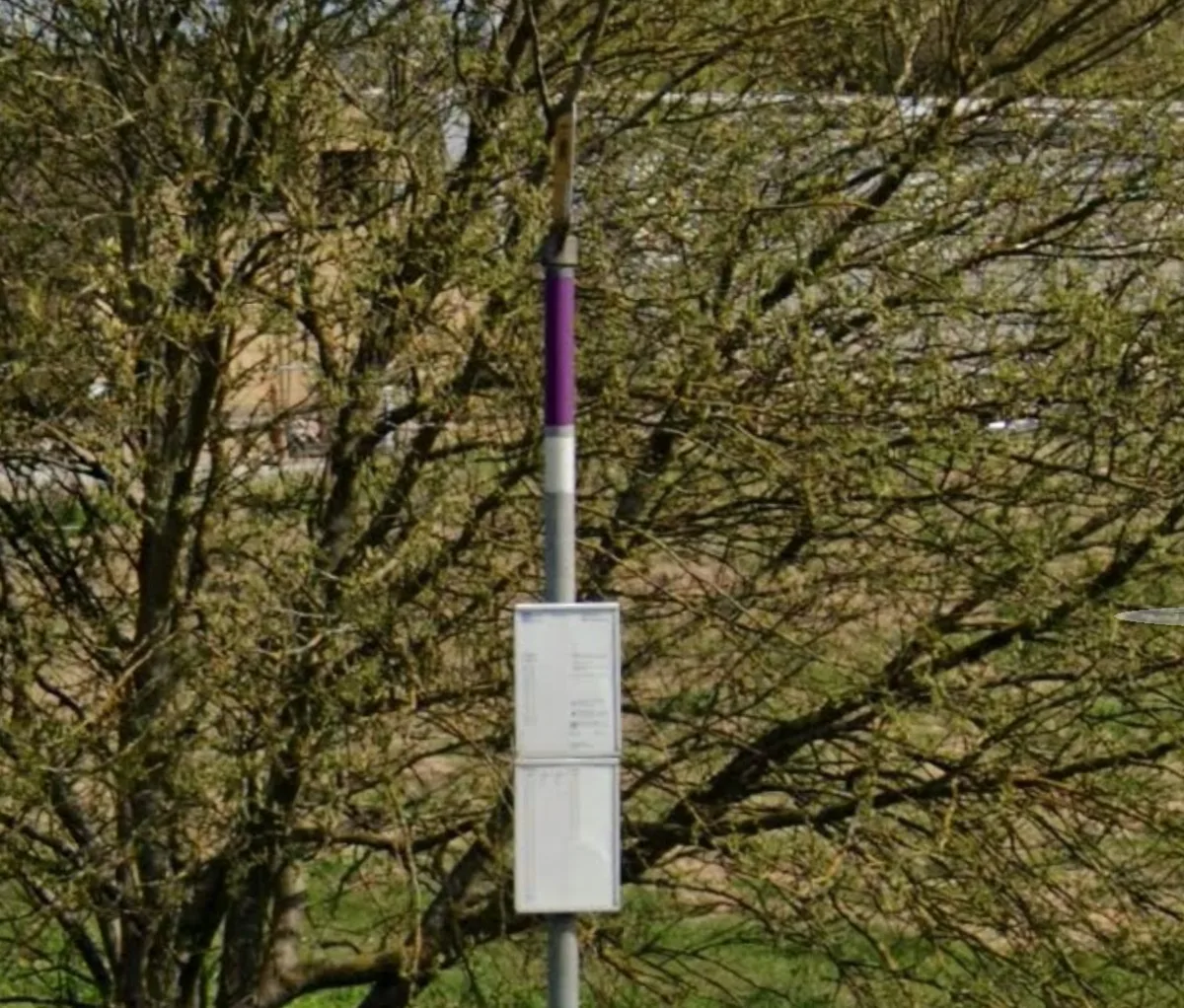 Purple: 300A at Beldringevej